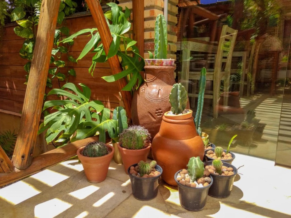 Jardim dos Orixás Image 11